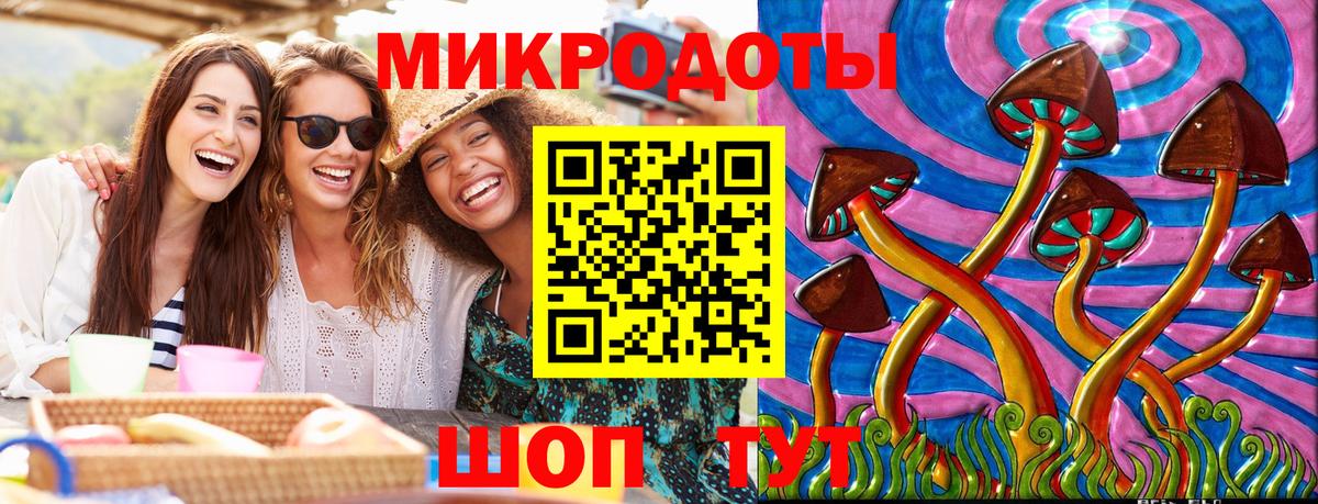 Псилоцибиновые грибы мицелий Кохма