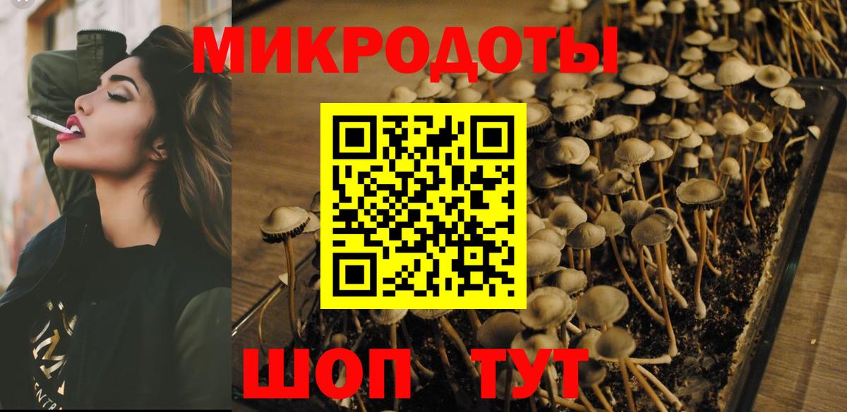 Кохма  Псилоцибиновые грибы Cubensis  Вход с VPN 